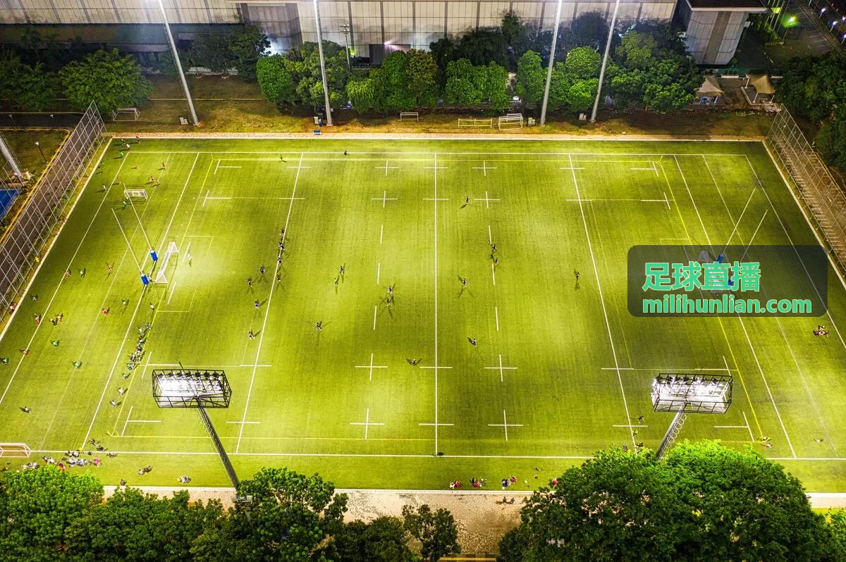 足球直播 - 数据解读与战术分析